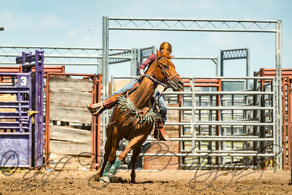 _E0I4601-Edit
