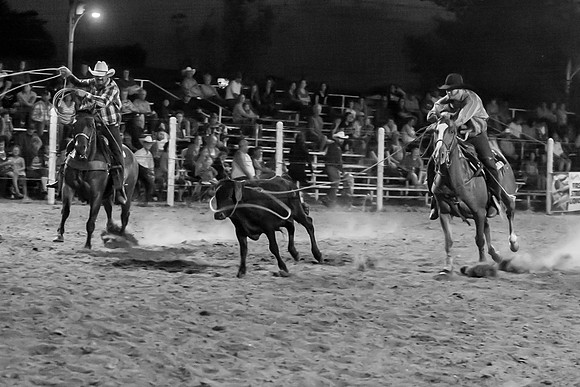 IMG_1616