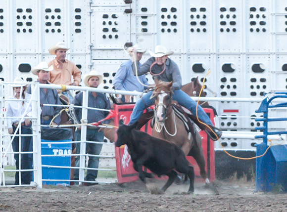 IMG_2912
