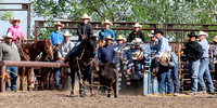 Ribbon Roping Lakin Saturday