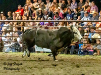 NSC Bull Riding Saturday 2024