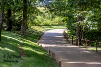 IMG_1925-Enhanced-NR