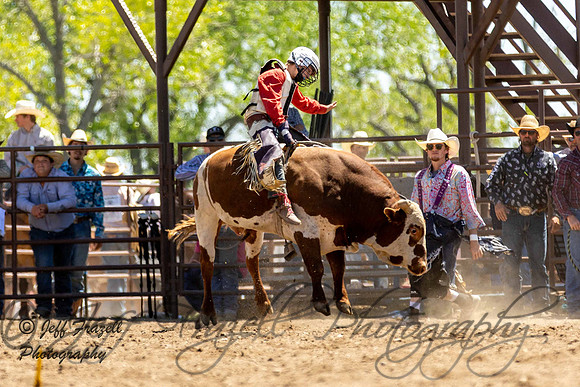 IMG_4354