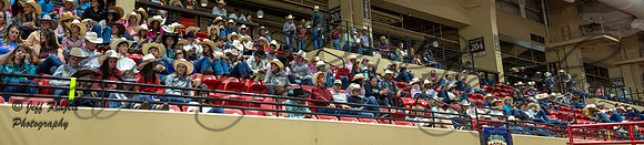 IMG_2751-Enhanced-NR-Pano