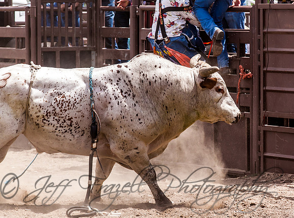 IMG_4845
