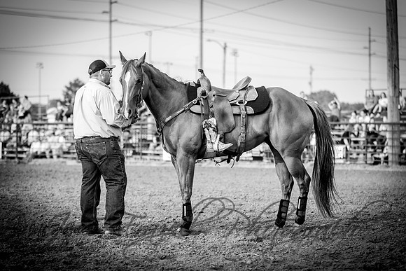 IMG_9087