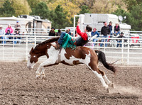 High School Rough Stock