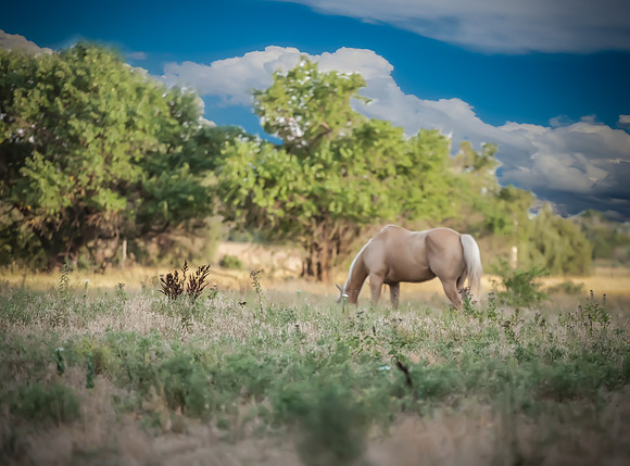 IMG_4974-Edit