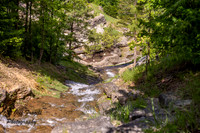 IMG_1941-Enhanced-NR