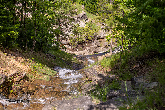 IMG_1941-Enhanced-NR