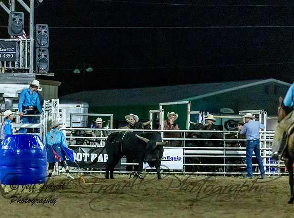 IMG_5937