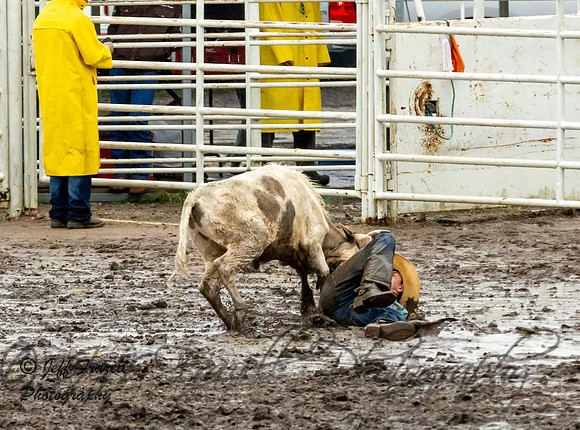 IMG_0636