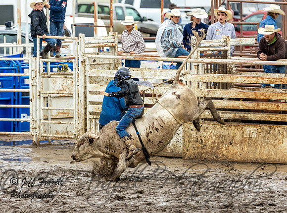 IMG_1152