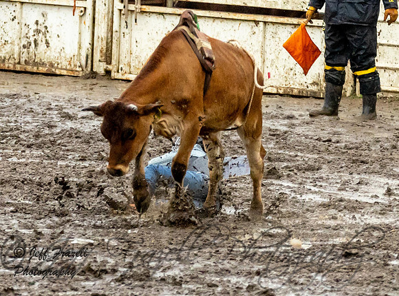 IMG_0589