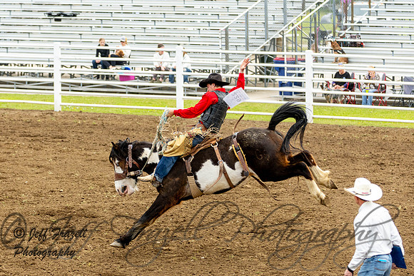 IMG_4553
