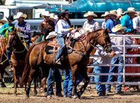 IMG_2496
