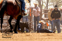 Jr High Chute Dogging Lakin Saturday 2025