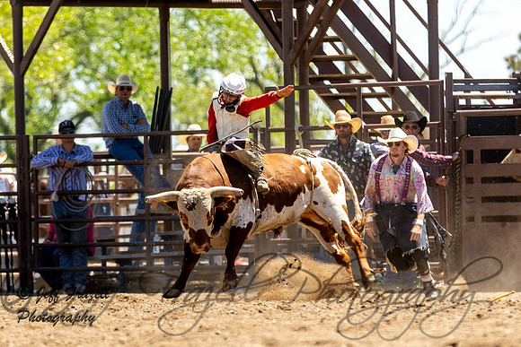 IMG_4352