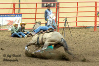 IMG_7822-Enhanced-NR