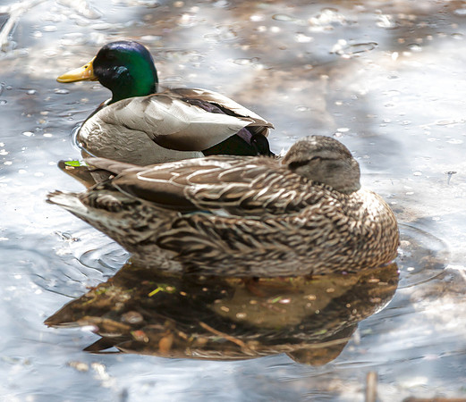 IMG_1858-Edit