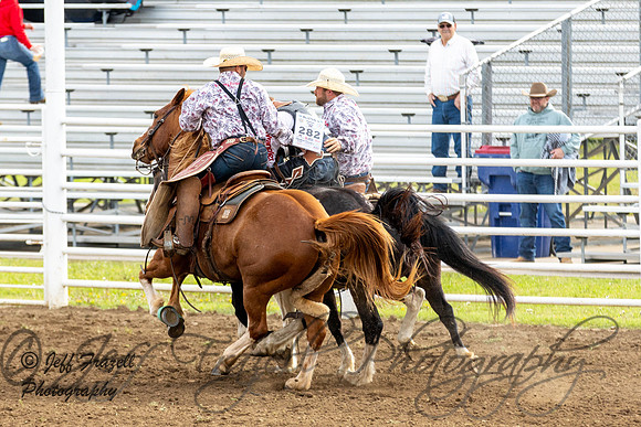 IMG_4379