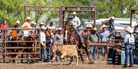IMG_5279