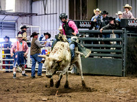Bull Riding Sunday Kingman 17-18