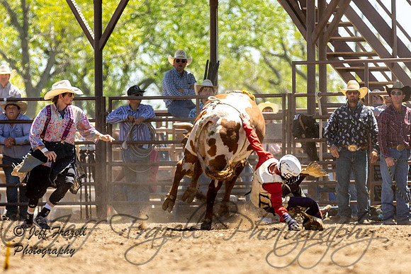IMG_4368