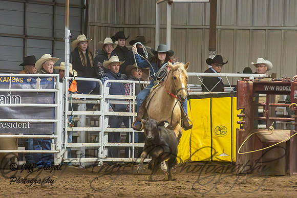 IMG_5037-Enhanced-NR