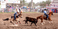 IMG_3052