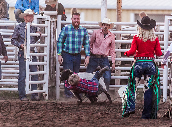 IMG_2779