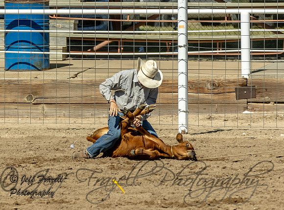 IMG_4917