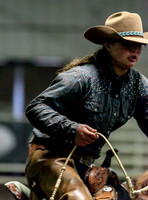 Reining Horse