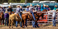 IMG_2507