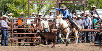 IMG_5264