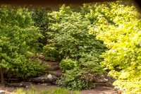 IMG_1938-Enhanced-NR