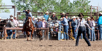 IMG_5484