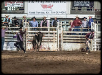 IMG_2012_08_04_7204