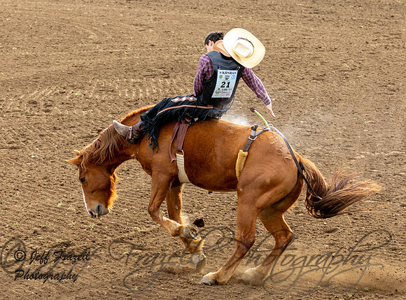IMG_4313