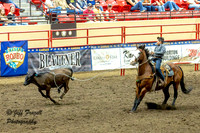IMG_1298-Enhanced-NR