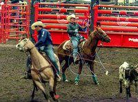 Team Roping Second Go KSHRA State Finals 2017-2018