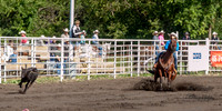 IMG_0460