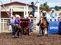 Team Roping Phillipsburg Sunday 2019