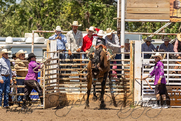 IMG_9863
