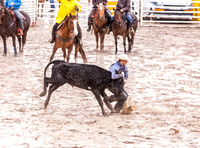 Steer Wrestling