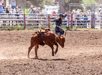 IMG_2361