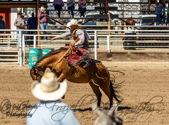 IMG_2439