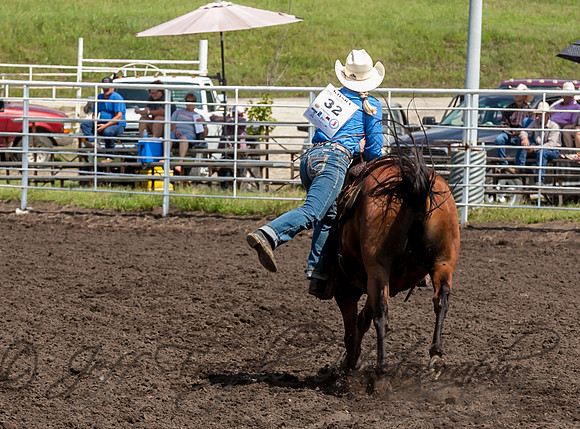 IMG_6372