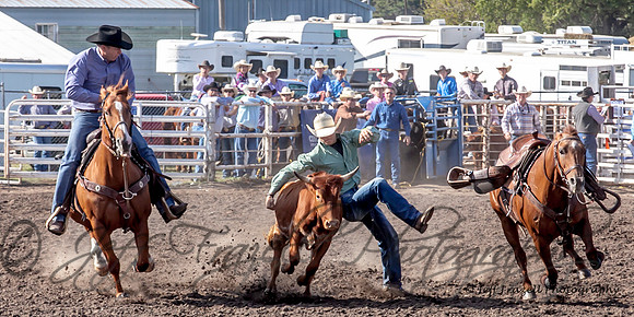 IMG_9296