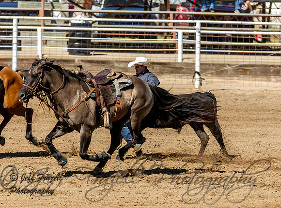 IMG_2278